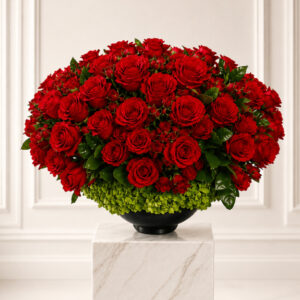 Royal Red Bloom